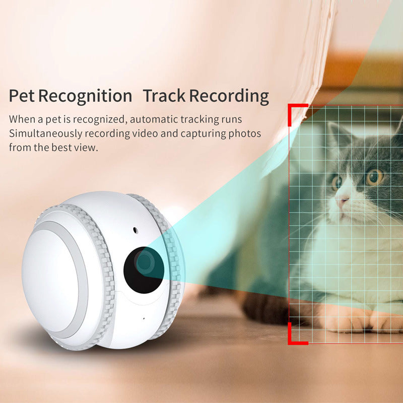 Makwamart remote pet interaction system 
