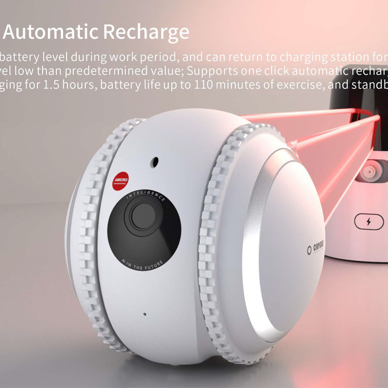 Makwamart remote pet interaction system 