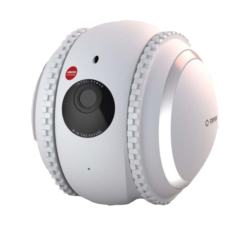 Makwamart remote pet interaction system 