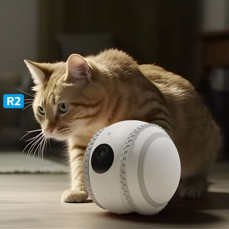 Makwa Mart Pet remote pet interaction system 