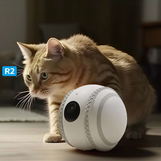 Makwa Mart Pet remote pet interaction system 